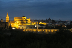 IMG_1021