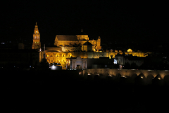 IMG_1364