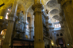 IMG_0292